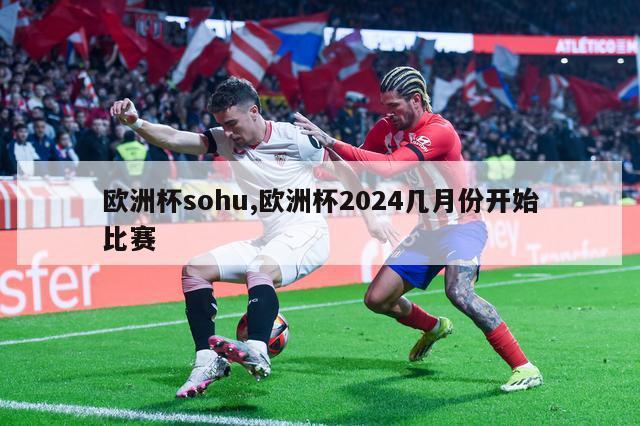 欧洲杯sohu,欧洲杯2024几月份开始比赛