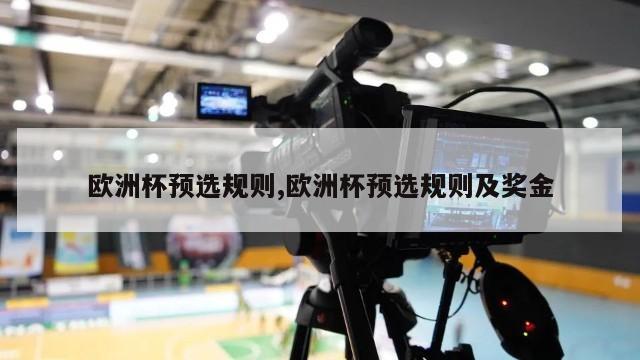 欧洲杯预选规则,欧洲杯预选规则及奖金