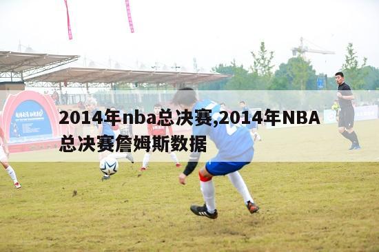 2014年nba总决赛,2014年NBA总决赛詹姆斯数据