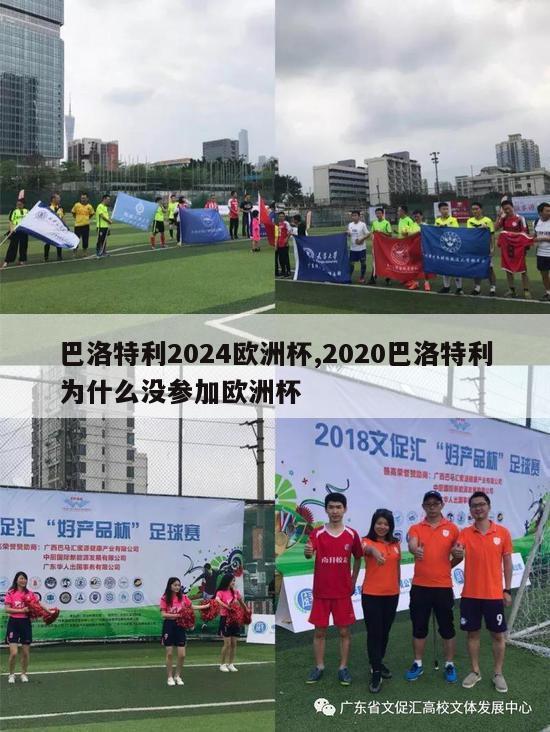 巴洛特利2024欧洲杯,2020巴洛特利为什么没参加欧洲杯