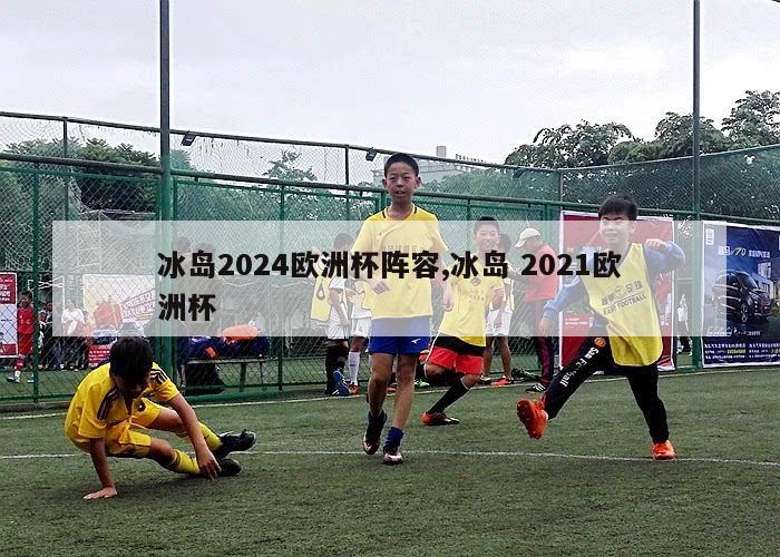 冰岛2024欧洲杯阵容,冰岛 2021欧洲杯