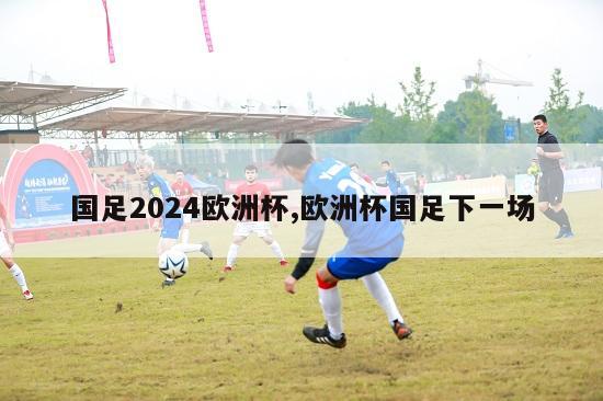 国足2024欧洲杯,欧洲杯国足下一场