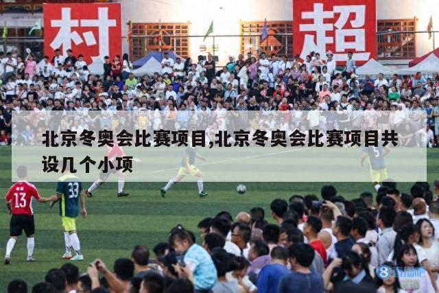 北京冬奥会比赛项目,北京冬奥会比赛项目共设几个小项