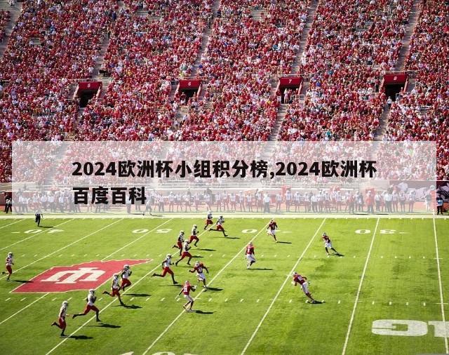 2024欧洲杯小组积分榜,2024欧洲杯百度百科